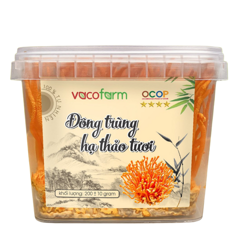Đông trùng hạ thảo tươi Vacofarm