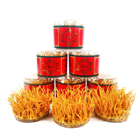 Nấm Tươi Đông Trùng Hạ Thảo Tươi FUNGI gold