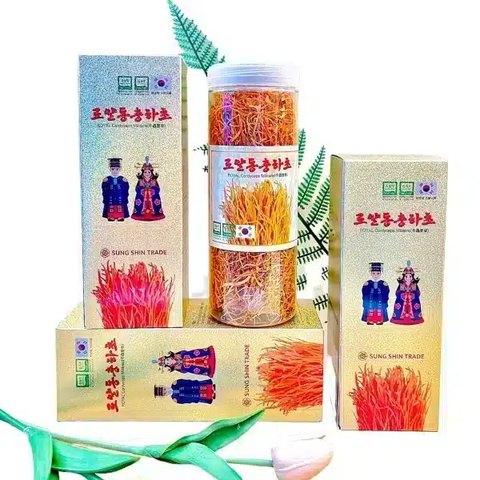 Đông trùng hạ thảo sấy khô dạng sợi 100g – DAEDONG