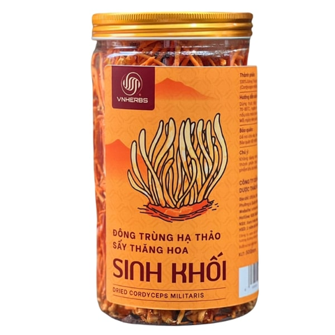 Đông Trùng Hạ Thảo sấy thăng hoa – Sinh khối