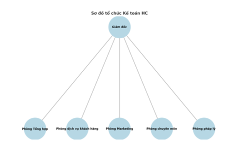 CƠ CẤU TỔ CHỨC