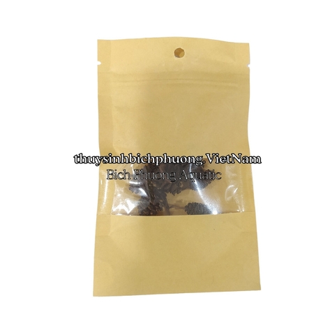 ALDER CONES ERLENZAPFEN CONE - QUẢ THÔNG KHÔ