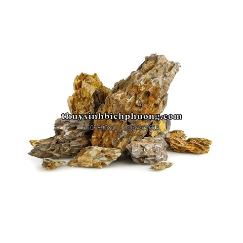 ĐÁ TIGER SETUP LAYOUT