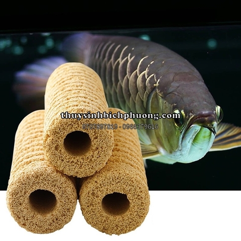 SỨ XOẮN SỨ CỦ SEN KEYRSIN - SỨ LỌC NƯỚC CAO CẤP