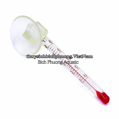 NHIỆT KẾ MINI - NHIỆT KẾ HỒ CÁ