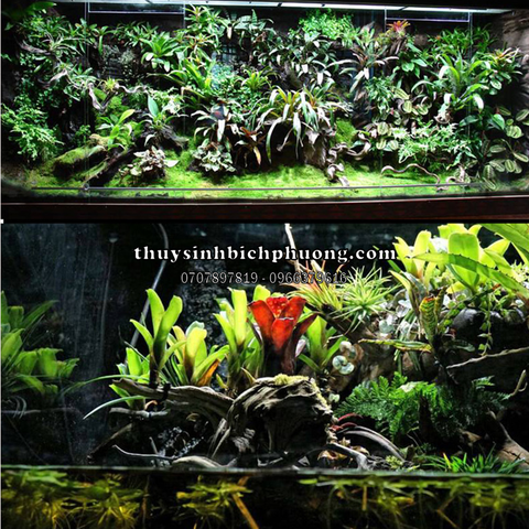 FOAM HOUYI TẠO BACKGROUND GIẢ ĐÁ MÀU XÁM ĐEN