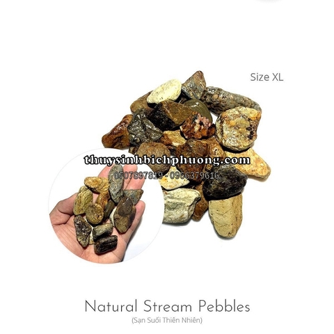 FEMOLAY NATURAL STREAM GRAVEL SIZE XL - SẠN SUỐI TỰ NHIÊN