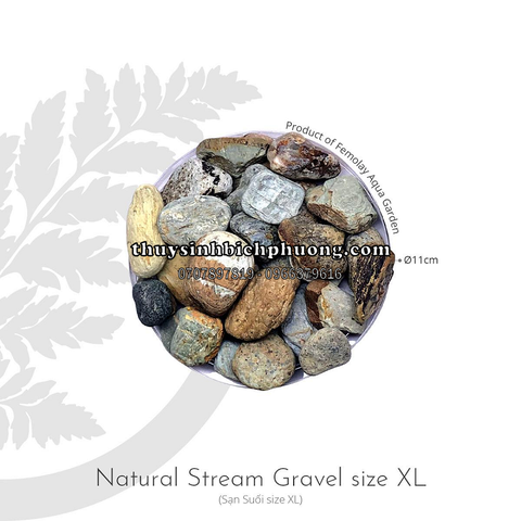 FEMOLAY NATURAL STREAM GRAVEL SIZE XL - SẠN SUỐI TỰ NHIÊN