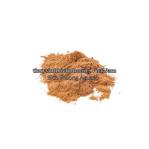 BỘT DÁN ĐÁ LŨA LAYOUT