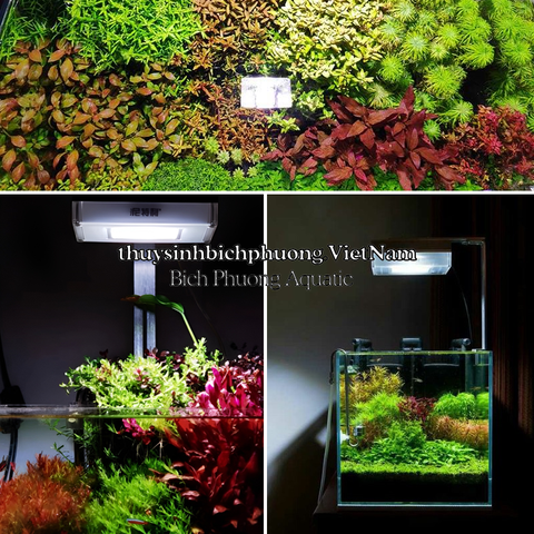 NETLEA AT3 PRO 40W / 65W LED LIGHT - ĐÈN LED THỦY SINH CAO CẤP