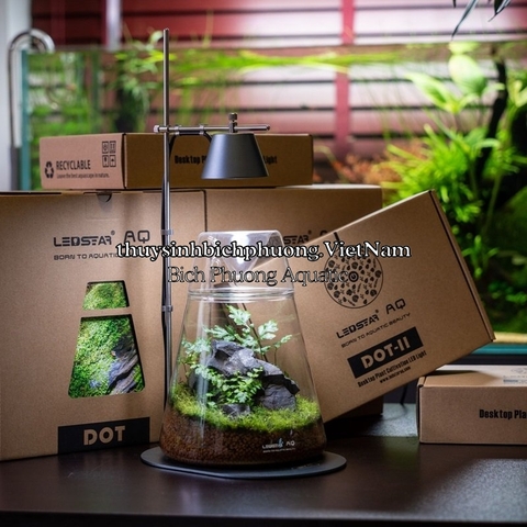 LED LEDSTAR AQ WRGB DOT II D400 - BỘ ĐÈN VÀ HỒ TERRARIUM CAO CẤP (ĐÃ TẶNG KÈM ADAPTER USB)