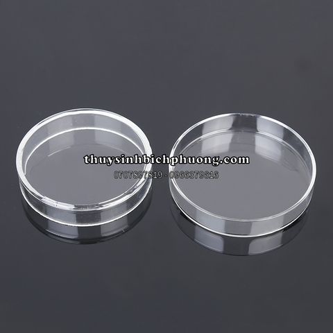 CHÉN THỦY TINH ĐỰNG THỨC ĂN TÉP