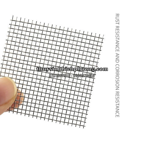 VĨ INOX 304 ƯƠM RÊU, RÁY NANA, DƯƠNG XỈ, BUCEP (8*8CM)