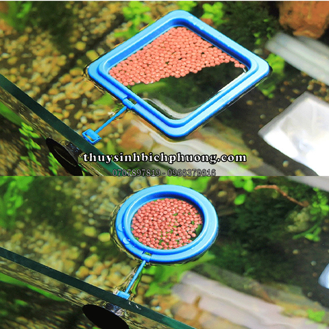 VÒNG GIỮ THỨC ĂN CHO CÁ - ỨNG DỤNG CHO CÁM HẠT NỔI, CÁM DẠNG VẢY, CÁM LÁ