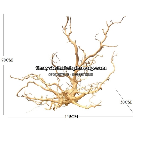 BP2 - BỘ LŨA GỖ ĐỖ QUYÊN NGUYÊN KHỐI