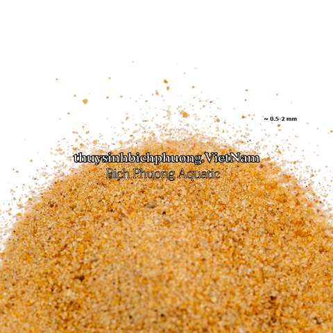 NATURAL GOLDEN SAND | CÁT NẮNG VÀNG TỰ NHIÊN