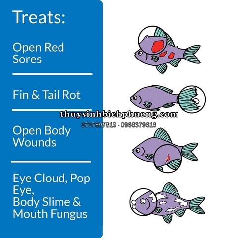 API MELAFIX 118ML | 237ML | 473ML - THUỐC TRỊ NẤM, SÁT KHUẨN CHO CÁ CẢNH