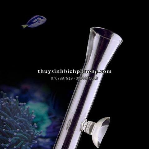 ỐNG THỦY TINH TRUYỀN THỨC ĂN CHO CÁ TÉP