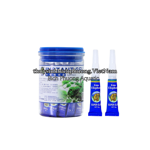 KEO DÁN CÂY - GUO ELEPHANT SUPER GLUE