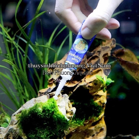 KEO DÁN CÂY - GUO ELEPHANT SUPER GLUE