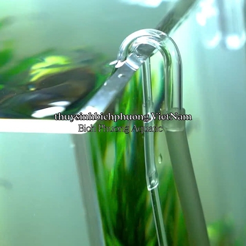 CỐC SỦI CO2 EBI - ĐẦU SỦI CO2 TÁN NHỎ KHÍ CO2