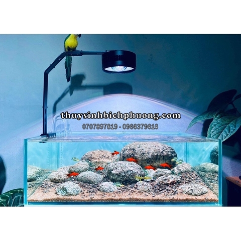 ĐÈN LED RỌI RIVERZONE ZAQUA RGB 50W, 70W | RGB+UV 70W