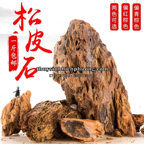 ĐÁ TIGER SETUP LAYOUT