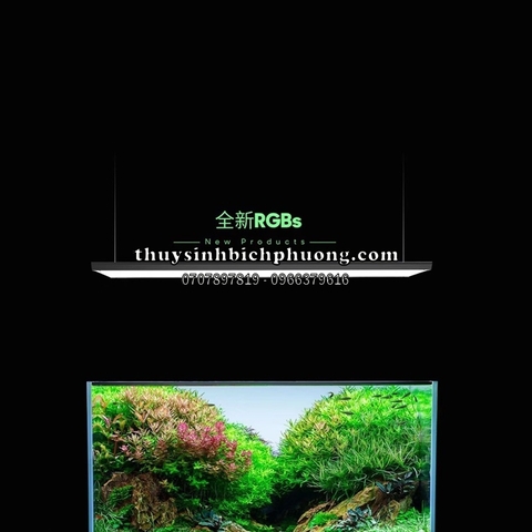 ĐÈN LED NETLEA RGBS 30CM|45CM|60CM|80CM|90CM|120CM