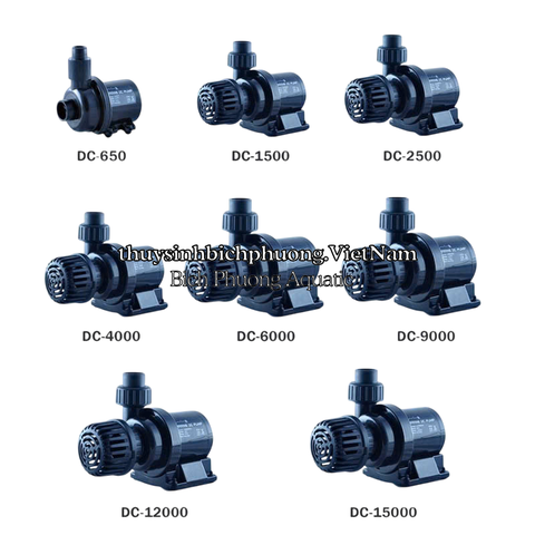 BƠM MARINE DC 24V CHỐNG GIẬT