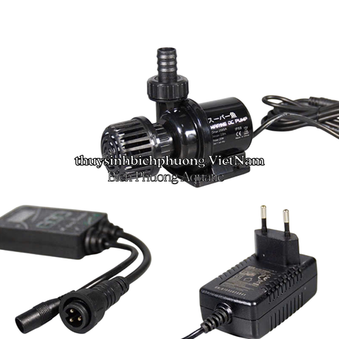 BƠM MARINE DC 24V CHỐNG GIẬT