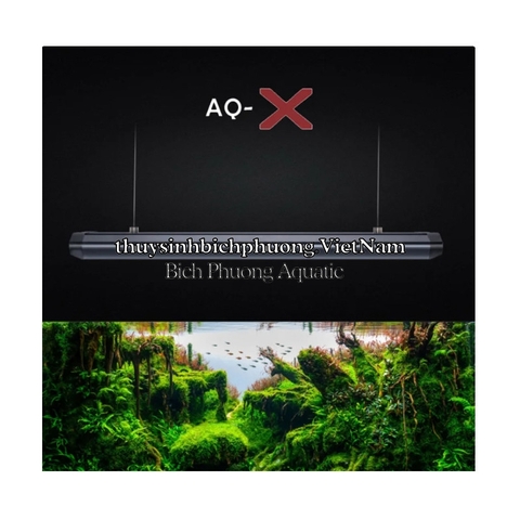 LEDSTAR AQ-X60 - ĐÈN LED HỒ CÁ THỦY SINH CAO CẤP