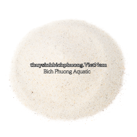 FINE WHITE SAND | CÁT TRẮNG MỊN TỰ NHIÊN