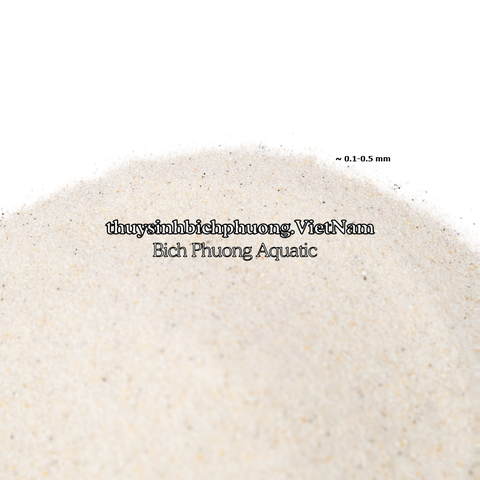FINE WHITE SAND | CÁT TRẮNG MỊN TỰ NHIÊN