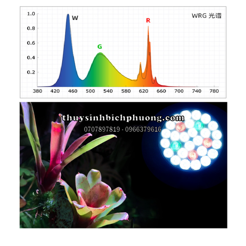 ĐÈN RỌI | ĐÈN LED RAY WEEK Y30 WRG, WRGB 30W DÙNG CHO HỒ CÁ THỦY SINH BÁN CẠN