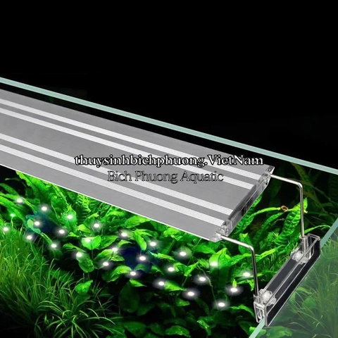 ĐÈN LED AQUABLUE CẢM ỨNG – ÁNH SÁNG TRẮNG