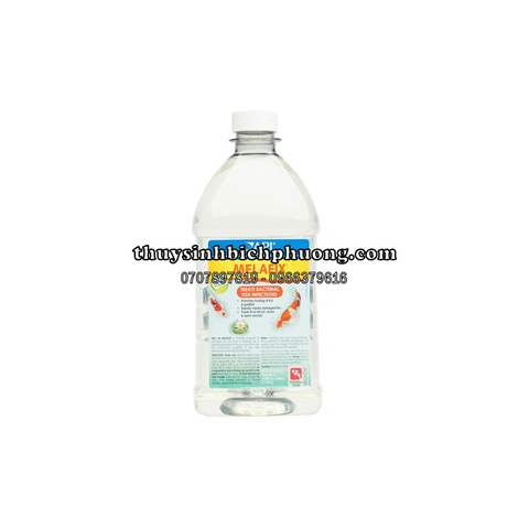 API POND MELAFIX - TRỊ NẤM, KHÁNG KHUẨN, PHÒNG BỆNH CHO CÁ CẢNH