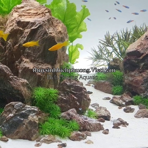 FINE WHITE SAND | CÁT TRẮNG MỊN TỰ NHIÊN