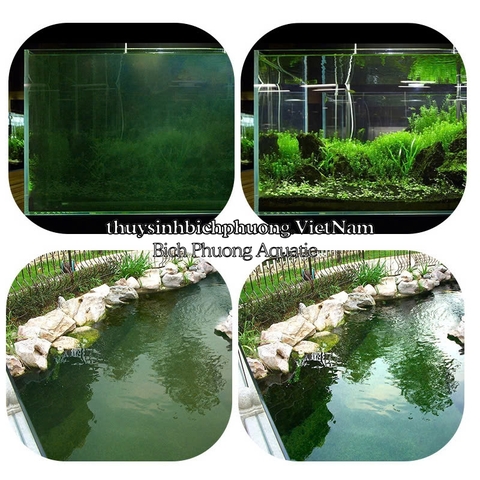 ĐÈN UV KING 5W, 9W, 11W, 20W, 30W, 40W, 60W, 100W - DIỆT RÊU HẠI, TẢO XANH CHO HỒ CÁ KOI