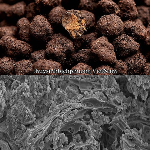 NEO SOIL COMPACT PLANTS của AQUARIO - PHÂN NỀN | ĐẤT NỀN THỦY SINH