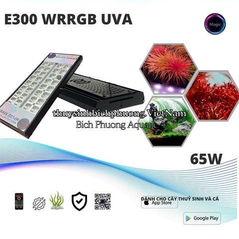 ĐÈN LED MAGIC LIGHT E300 PRO WRRGB UVA