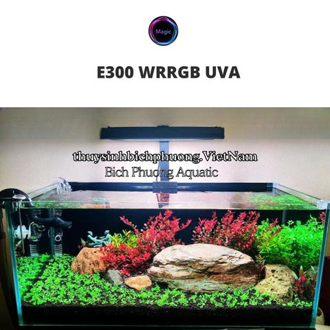 ĐÈN LED MAGIC LIGHT E300 PRO WRRGB UVA