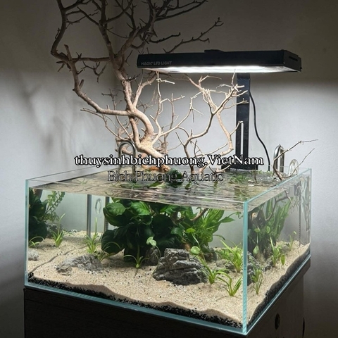 ĐÈN LED MAGIC LIGHT E300 PRO WRRGB UVA