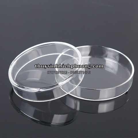 CHÉN THỦY TINH ĐỰNG THỨC ĂN TÉP