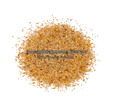 SHIMMERING GOLDEN SAND | CÁT NẮNG VÀNG KIM SA