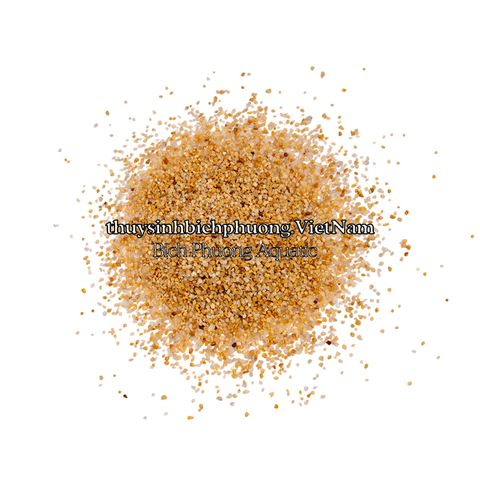 SHIMMERING GOLDEN SAND | CÁT NẮNG VÀNG KIM SA