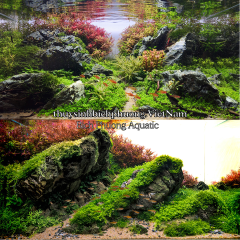 SHIMMERING GOLDEN SAND | CÁT NẮNG VÀNG KIM SA