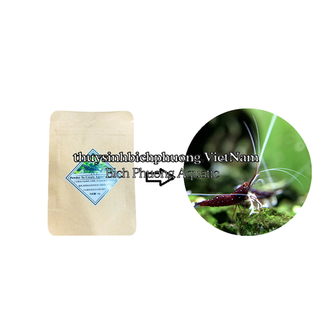 BỘT TẠO RÊU, KÍCH TẢO XANH CHO HỒ CÁ  CẢNH, TÉP SULA