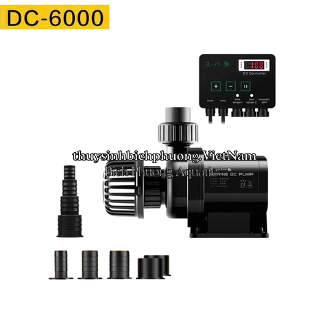 BƠM MARINE DC 24V CHỐNG GIẬT