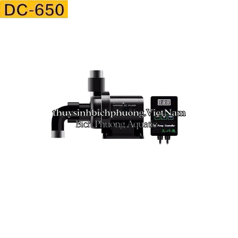 BƠM MARINE DC 24V CHỐNG GIẬT