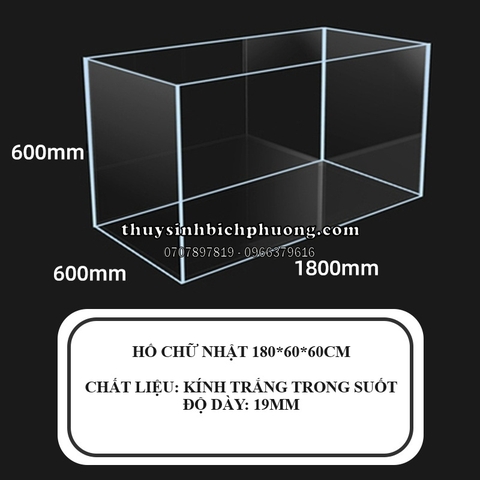 HỒ KÍNH SIÊU TRONG HOÀNG MÂY VIỆT NAM